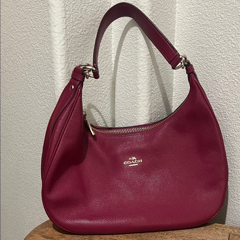 Coach Women's Fuchsia Leather Hobo Bag